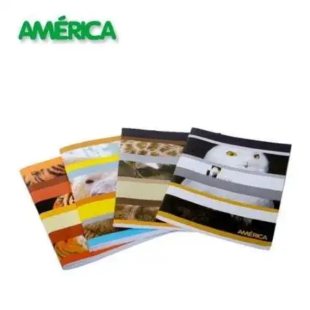 Cuaderno América Liso Escolar Tapa flexible 24 hojas