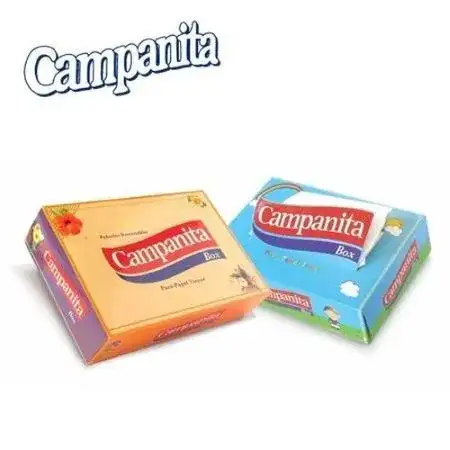 Pañuelos descartables Campanita Box Caja x 75 unidades