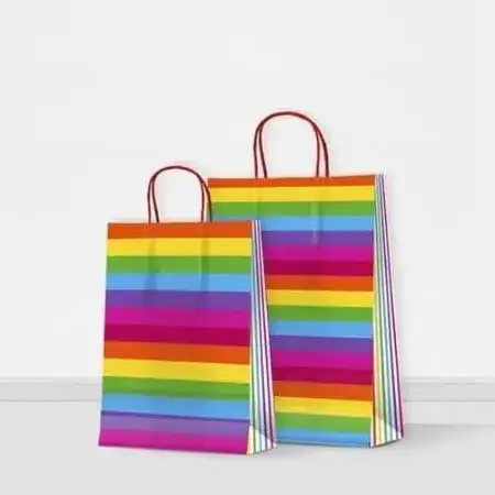 Bolsa de papel Neo Pack Arco Iris 22x10x30cm